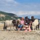 Mit Shetland-Ponys nach Jerusalem