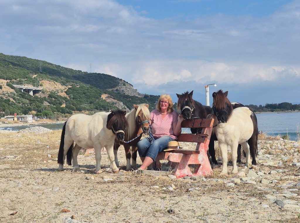 Mit Shetland-Ponys nach Jerusalem